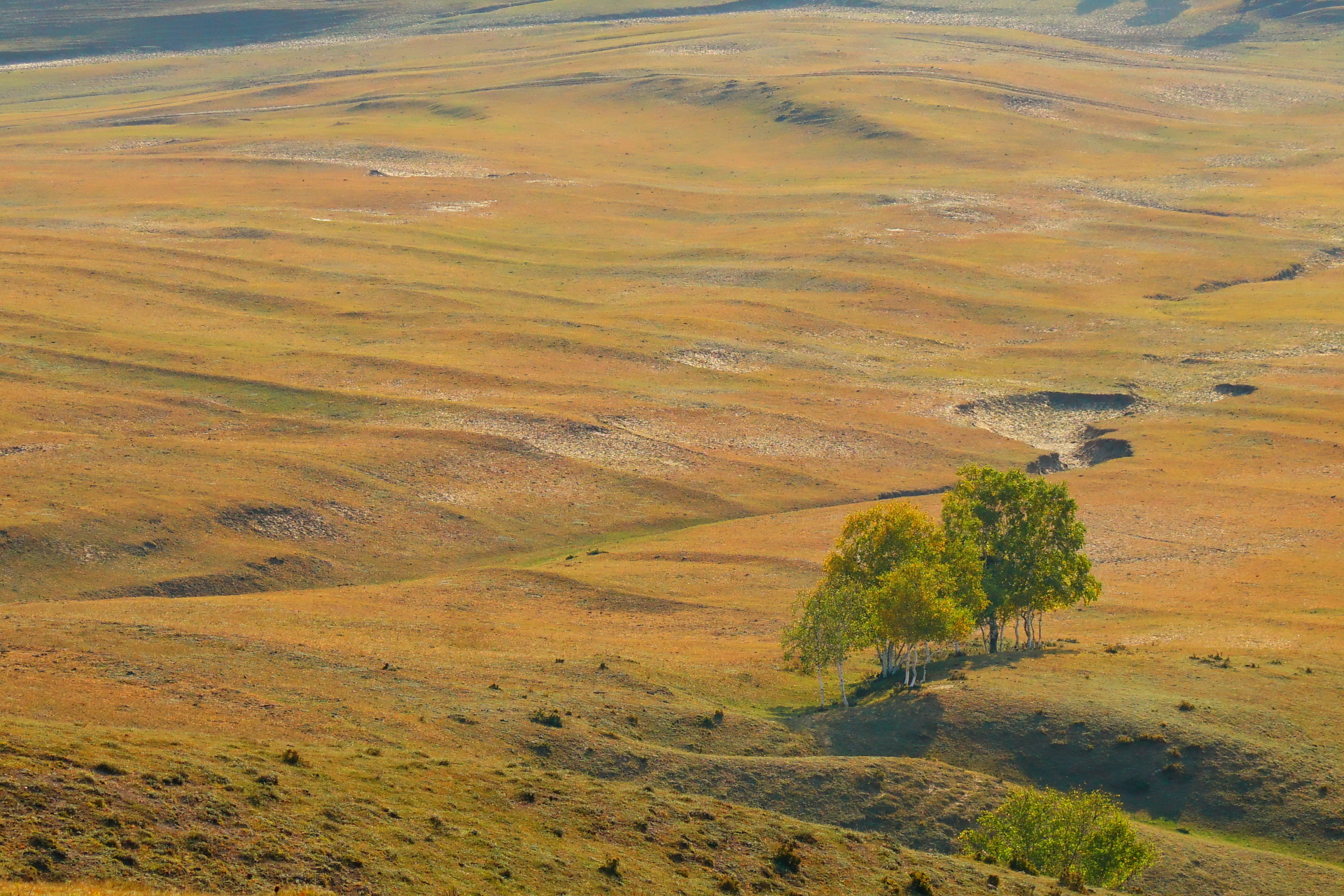 京北第一天路千松坝国家森林公园,千松坝森林公园和京北第一天路