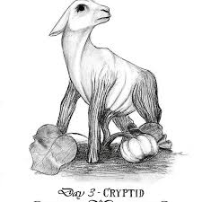 中世纪棉花,中世纪的欧洲棉花