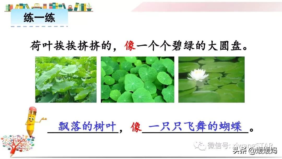 三年级下册荷花ppt课件部编版,三年级下册语文第三课荷花小练笔