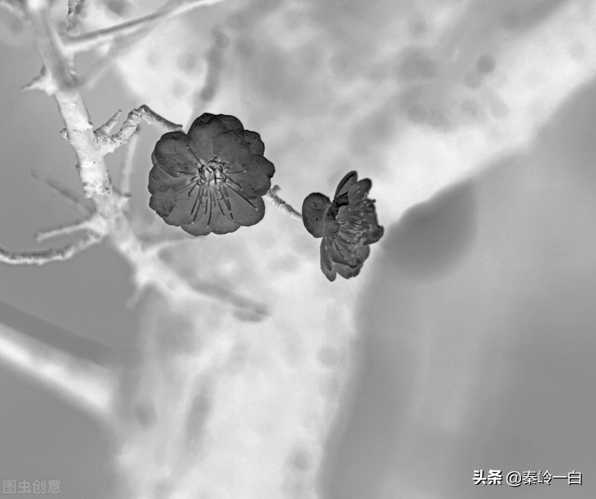 王冕是元朝末年的著名诗人与画家,元朝著名画家王冕的书画作品欣赏