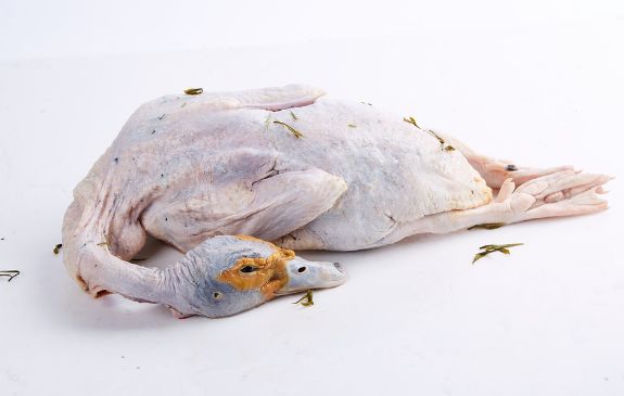 冰箱隐形杀手,冰箱里暗藏隐形杀手