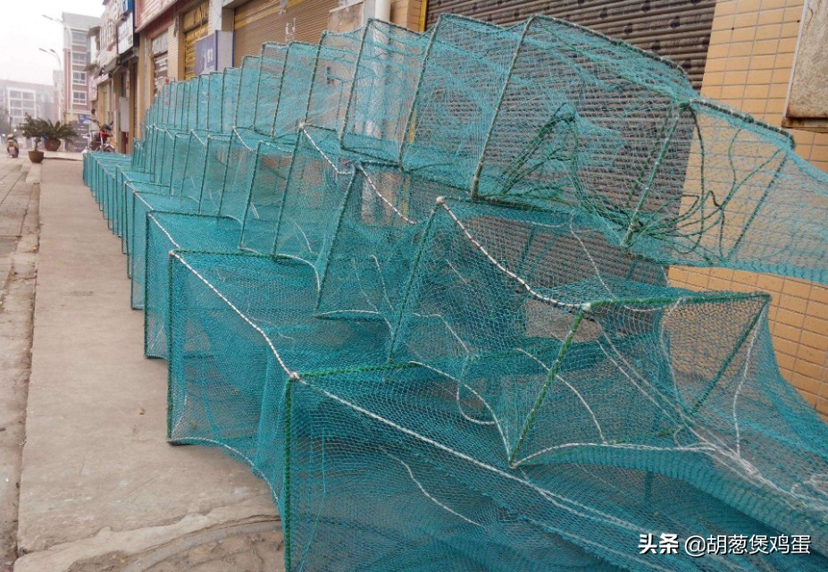 小龙虾养殖怎么管理,小龙虾地笼养殖