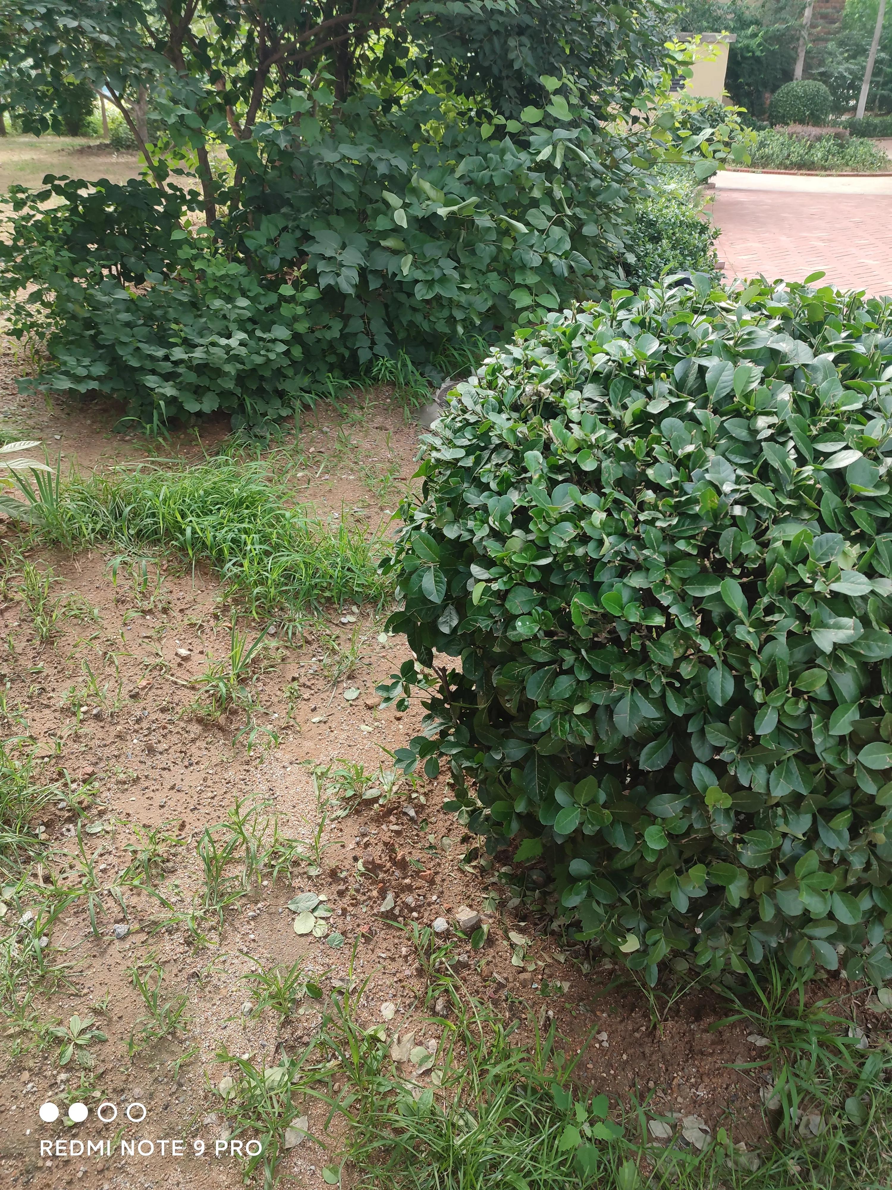 「里脊」一亿像素方向对了?