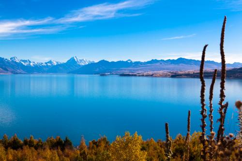 压路机租赁合同范本大全,压路机租赁安全合同简单