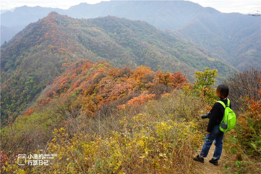 最美的风景在路上西安秦岭山脉,藏在西安秦岭的小众秘境