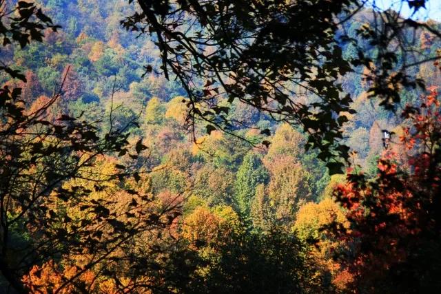 坐拥神仙颜值!原来,这就是中南大学的最美校花!