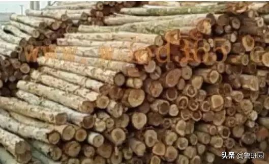 木材受潮腐烂修复,防止木材开裂的最好方法