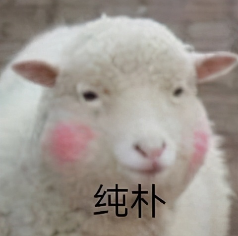 苹果九个超好的应用,苹果有什么好用的应用推荐