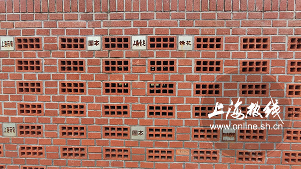 杨浦最新网红打卡,上海杨浦区网红打卡