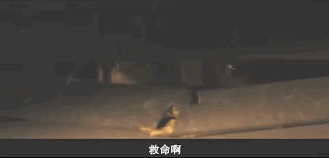 18禁！现在韩国电影都这么猛的吗？