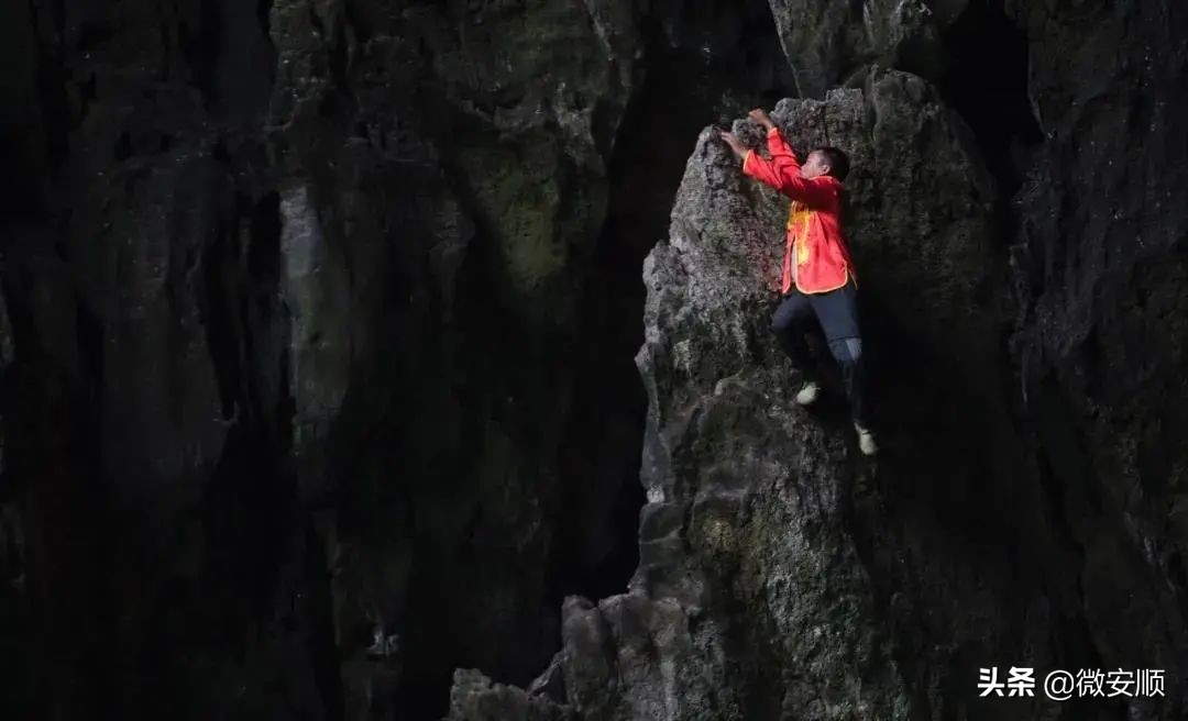 你好！我叫安顺，这是我2021最新简历