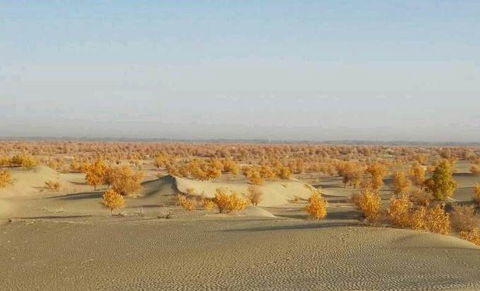 你永远不会体会到*疆新**公路的风情万种,除非你亲自自驾到那里!