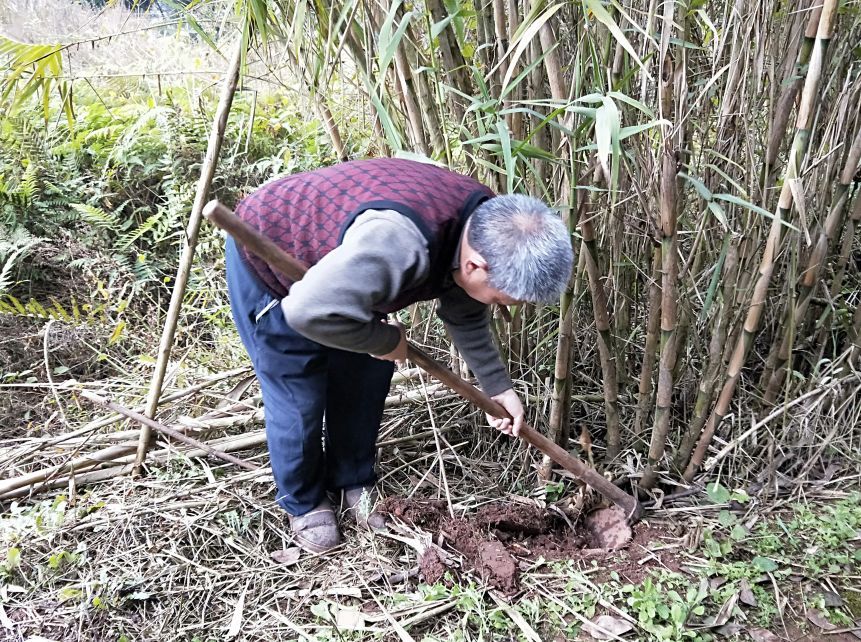 被隔离的她在家乡“守土”
