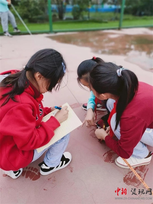 ISQS|细品求实外国语小学数学教育!