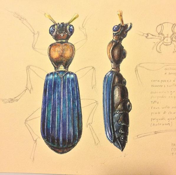 惊了！他靠卖垃圾赚了195万，还在法国买了一套房！