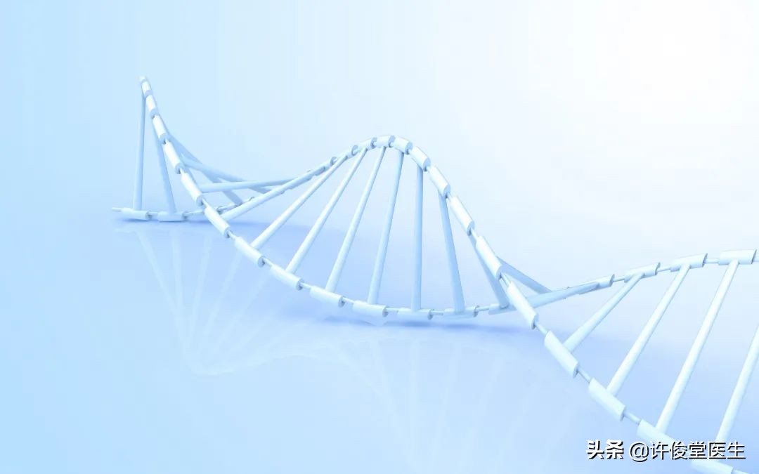 生化免疫检验报告单解读,生化检验正常值与临床意义