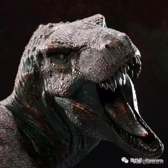 地球上的顶级掠食者,人类是地球上最顶级的掠食者