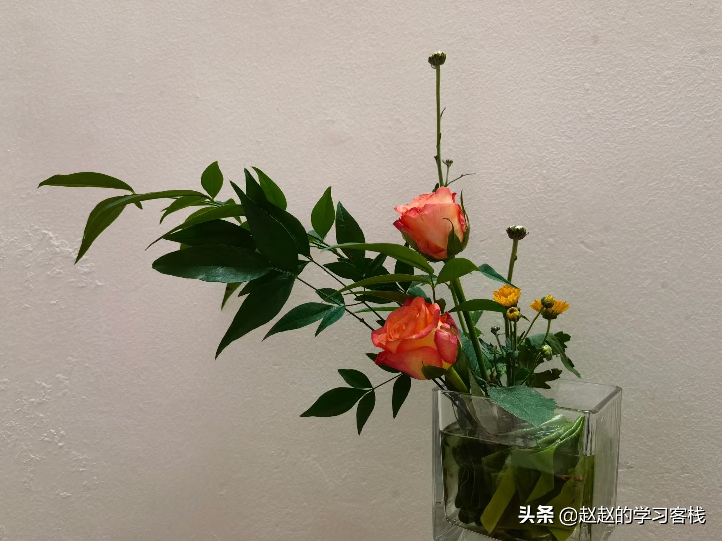 如何才能找到方向走出迷茫,摆脱迷茫和焦虑的方法