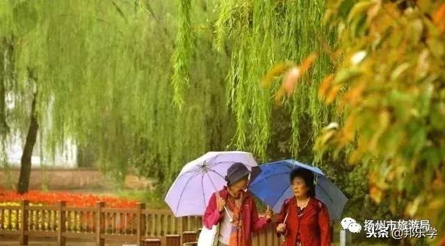 扬州市公园人气榜第一名,扬州入选全球十大宜居城市