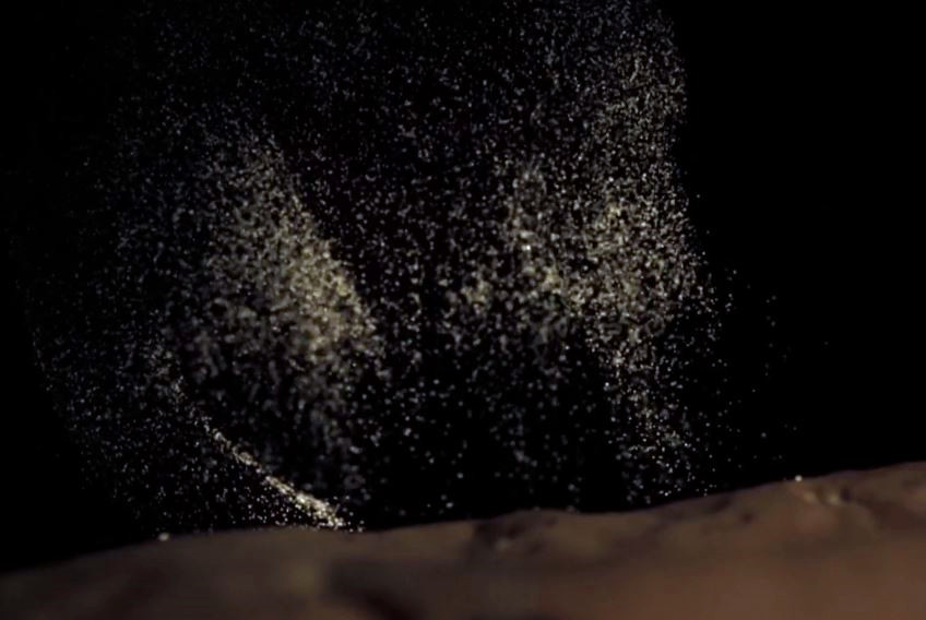 蘑菇是真菌还是植物,香气很浓的蘑菇叫什么菇