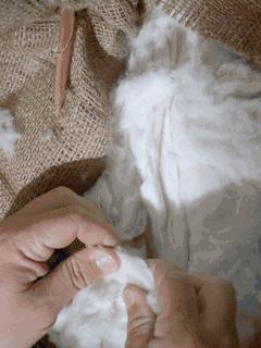 几百块的大衣和上千块大衣对比,廉价大衣和贵的对比