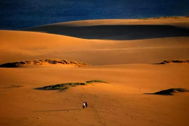 盘点那些年我看过的日本美景,日本美景8k超高清