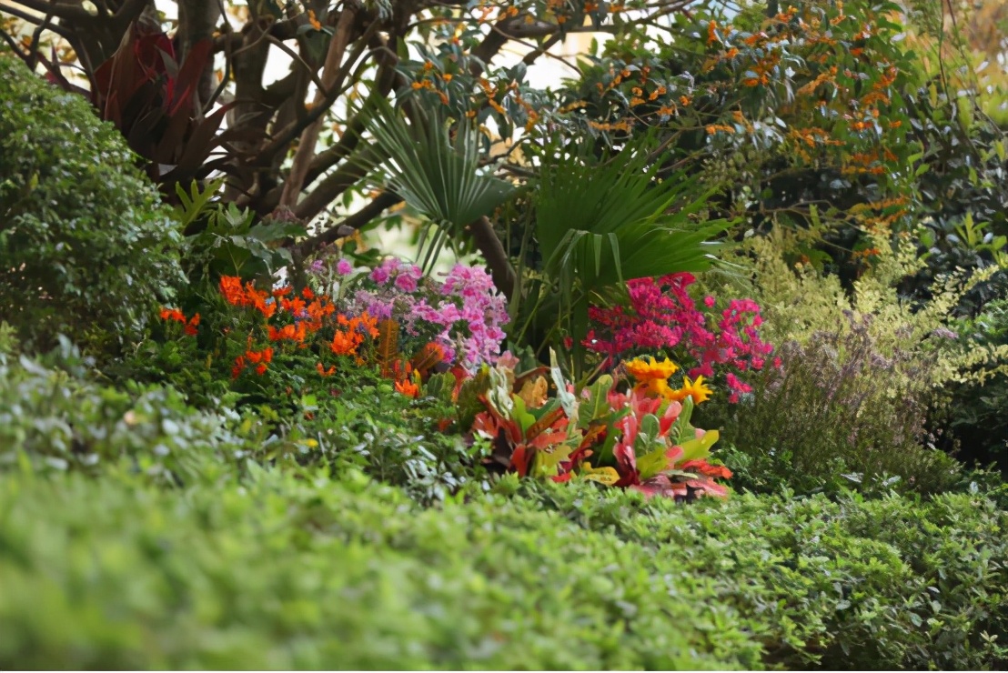 创世纪楼盘房价,创世纪二手房出售