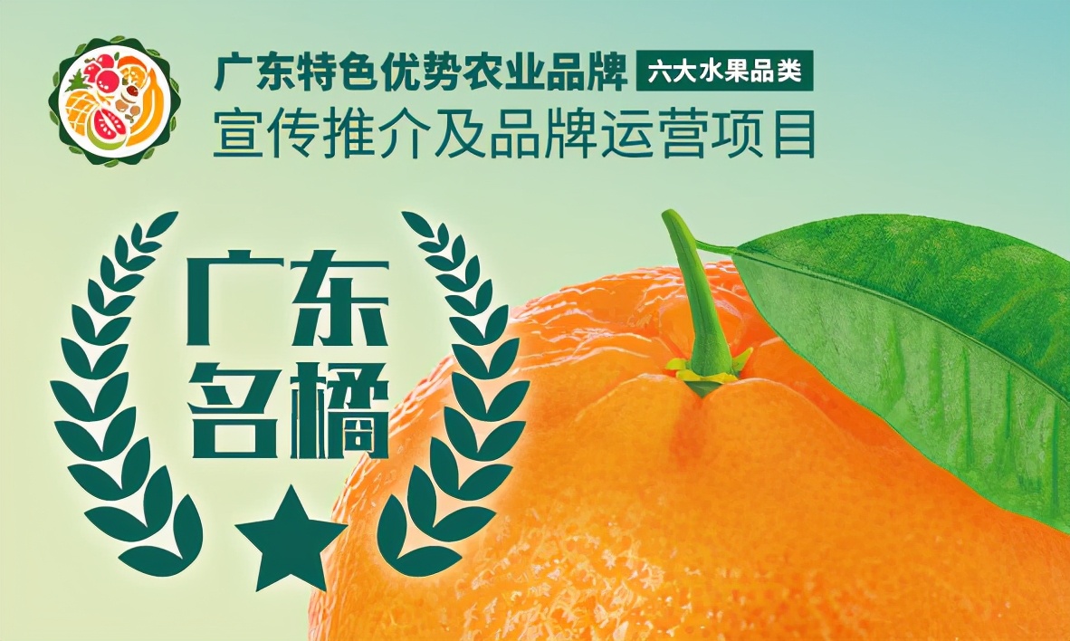 德庆贡柑之乡,德庆贡柑高端礼盒