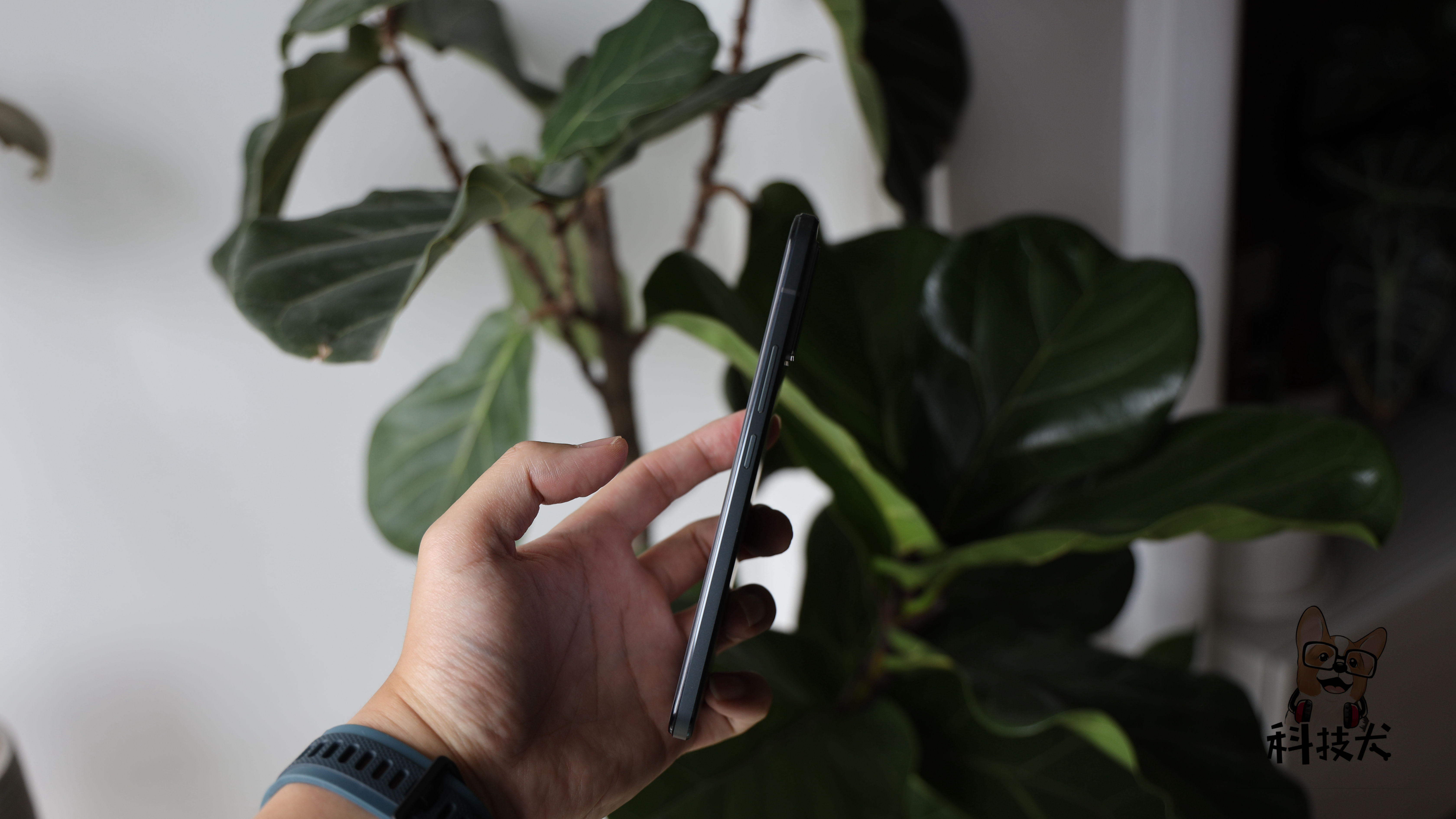 iqooz8拍照和荣耀x20,vivoiqoo和荣耀5g手机哪个好