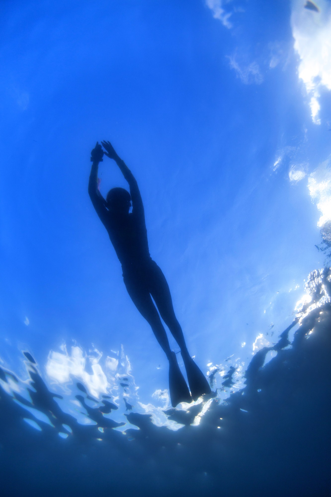 一定是特别的缘分——帕劳，再遇见「周若雪Patty」·上