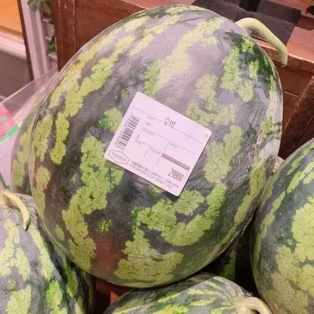 50元一颗的高端葡萄有什么特别,300元一斤的葡萄你觉得贵吗