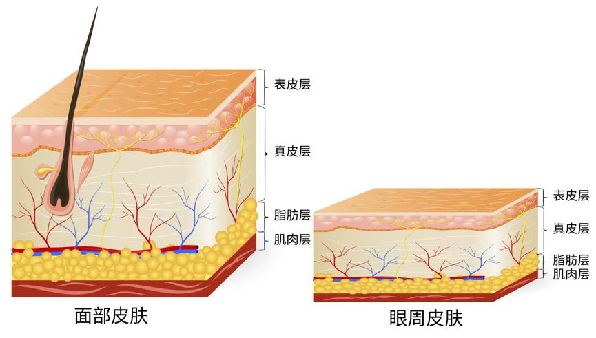 无花护肤模式,无花护肤品防晒效果