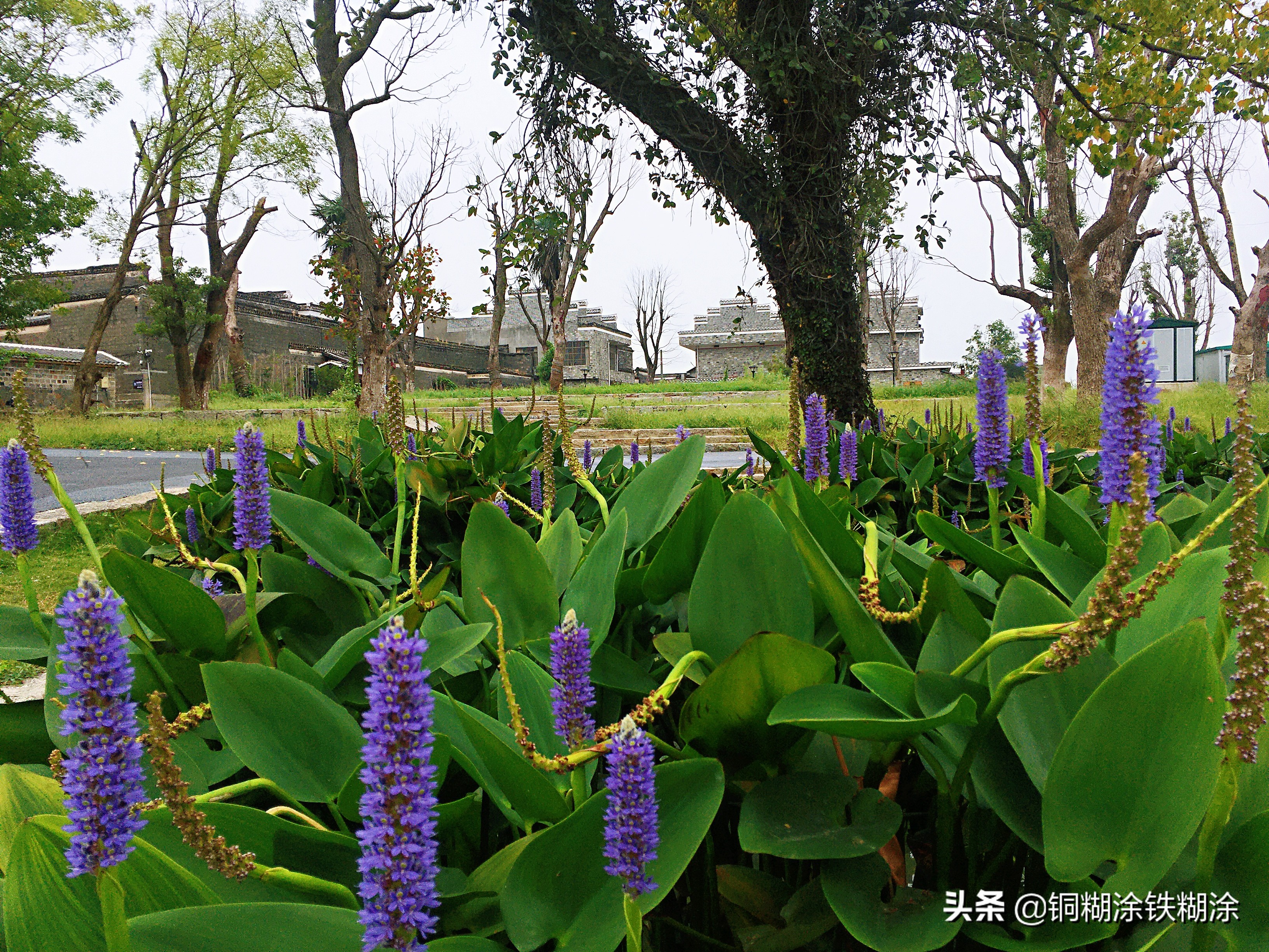 安义最大的古村落,发现安义古村