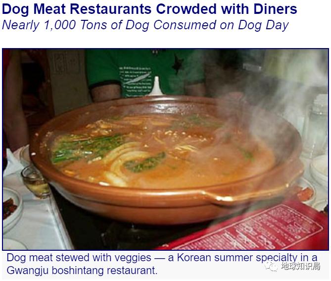 正宗朝鲜烀狗肉的方法,朝鲜风味狗肉