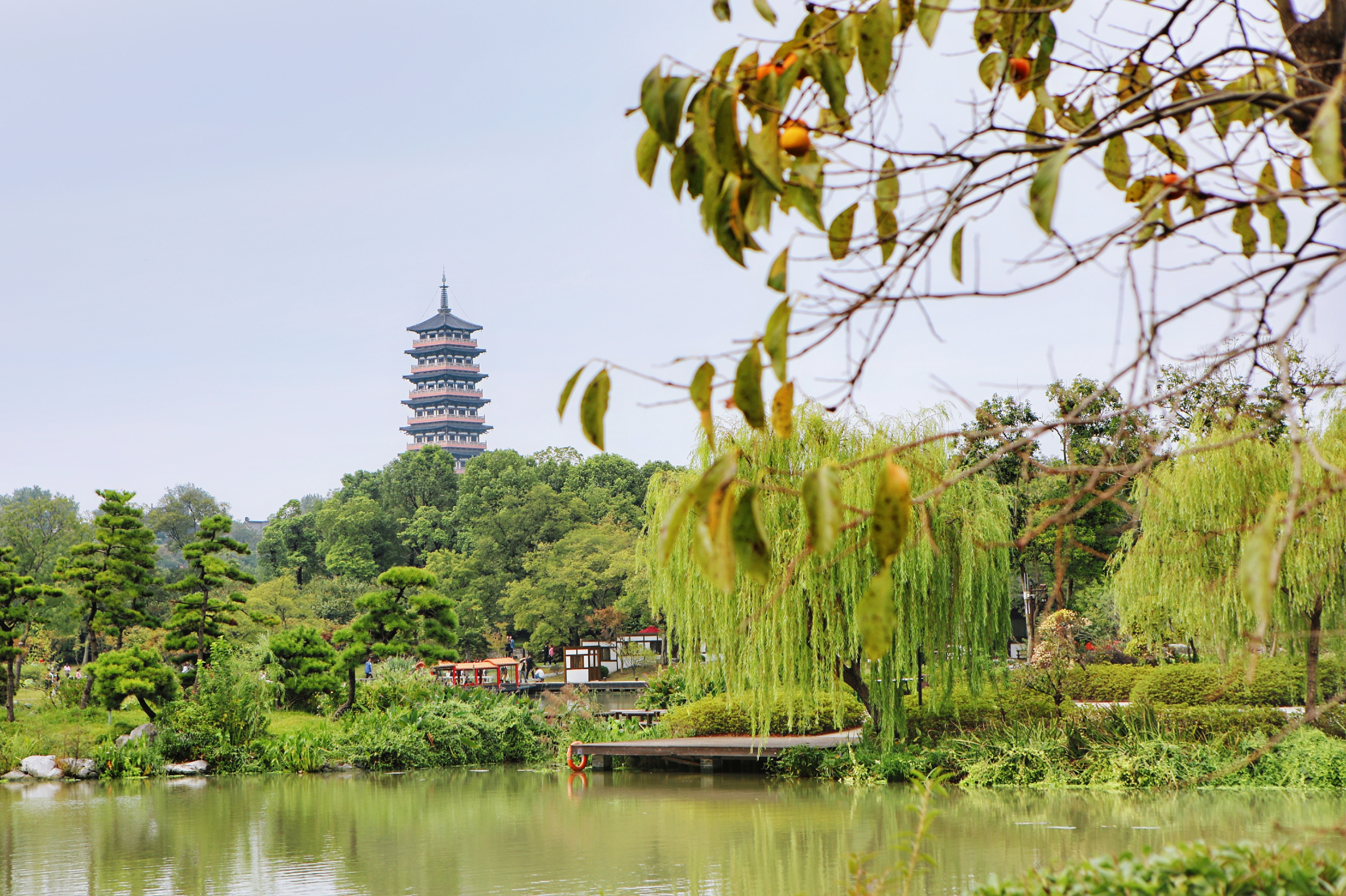 带有扬州两个字的扬州网红打卡地 (扬州打卡网红地大明寺)