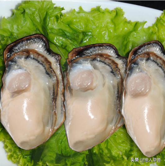 威海乳山牡蛎生蚝,乳山生蚝鲜活大牡蛎