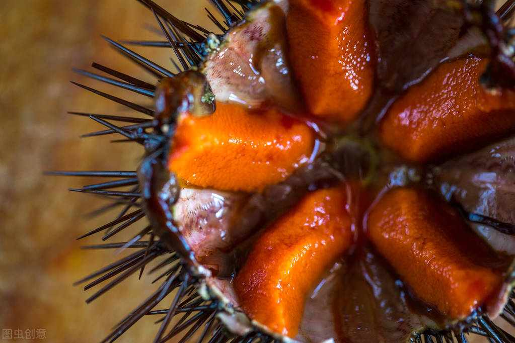 美女潜水时被海胆扎了，差点保不住手！夏季海岛游，专家建议要记牢