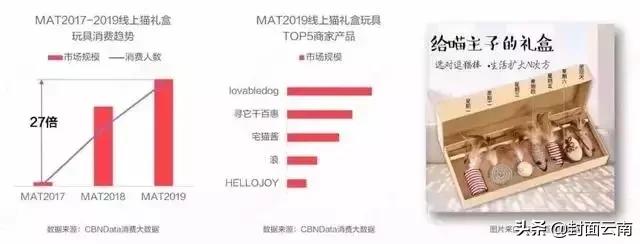 云南省执业兽医考试哪里考,云南执业兽医好考吗