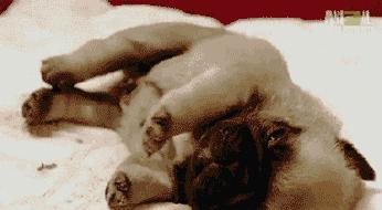 半夜睡觉磨牙还梦到鬼压床,鬼压床或者梦魇的原因