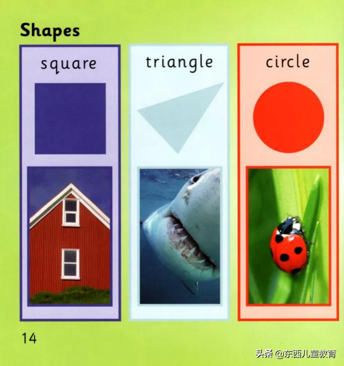 如果2-8岁孩子急需英语启蒙阅读，选分级王者《大猫》绝对没错