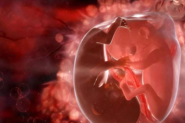 胎儿在孕妈肚子里抖动是怎么回事？可不是你以为的胎动，别弄错了