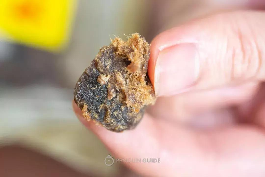 深度种草|香港宝藏零食陈意斋，又让我们拆了三千的快递……