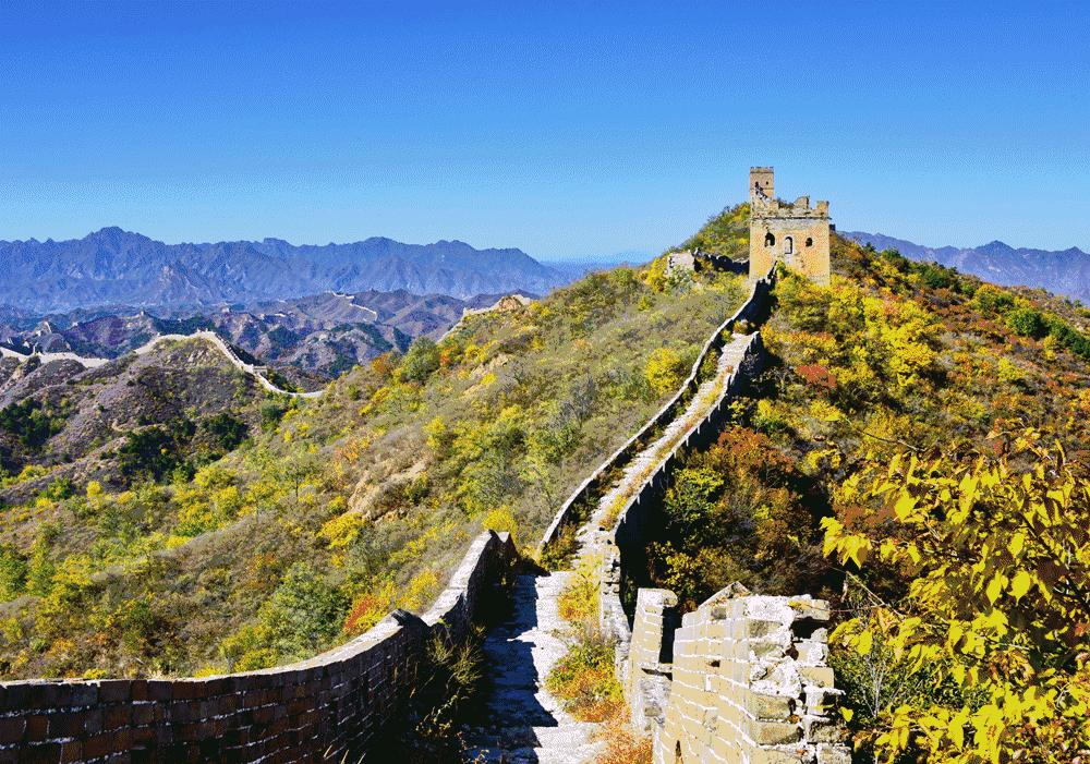 那些惊人的世界纪录,那些匪夷所思的世界纪录