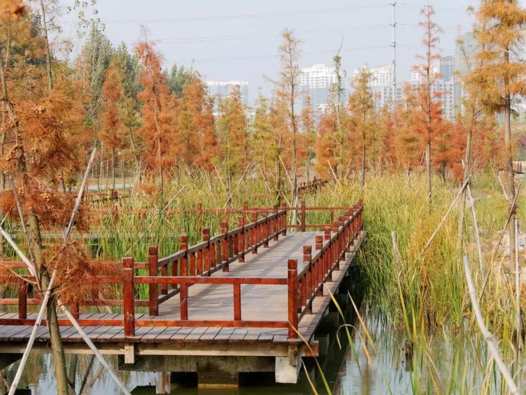 薛城未来五年发展之城南篇,薛城未来重点发展的片区