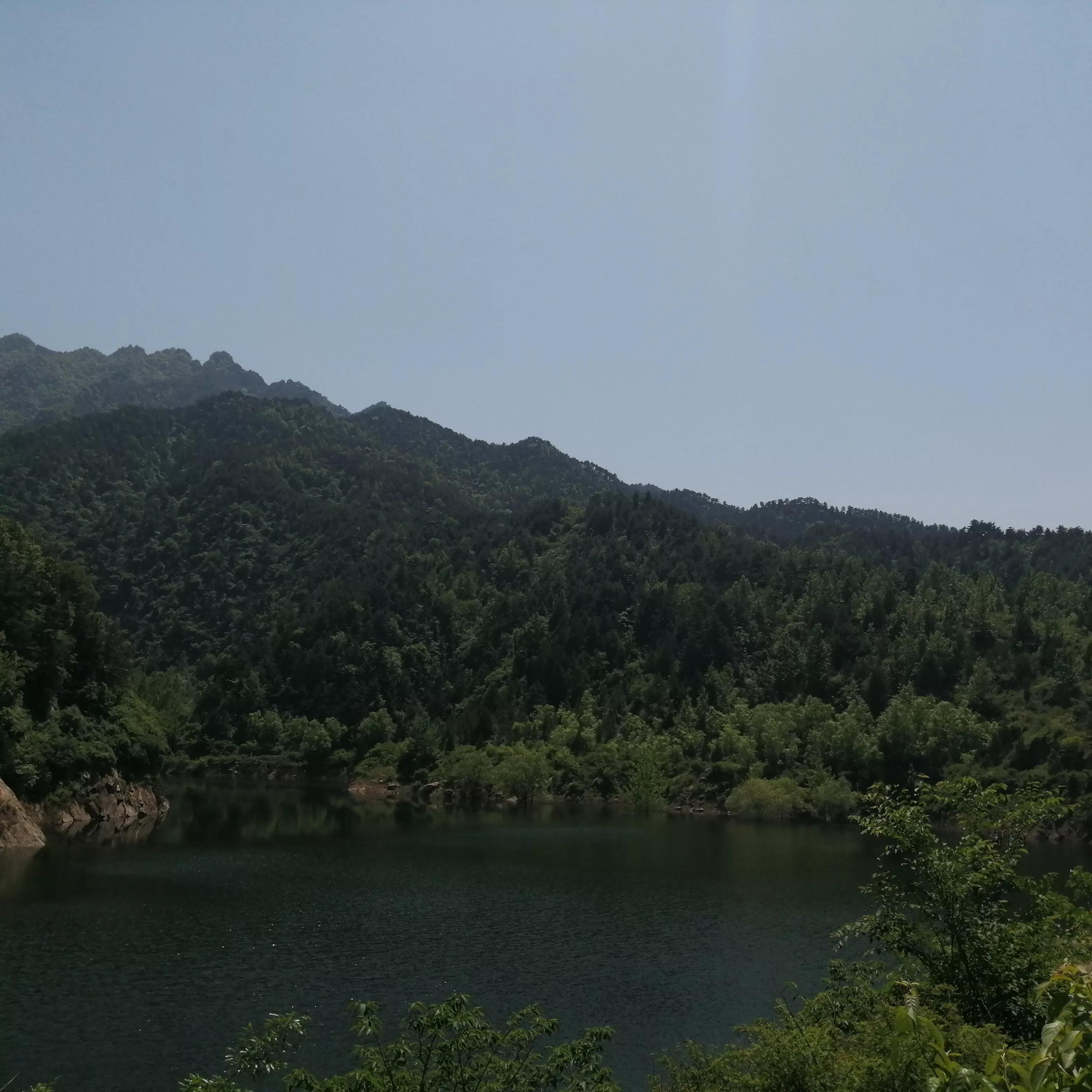 打卡莲花山森林公园,爬莲花山森林公园几个小时