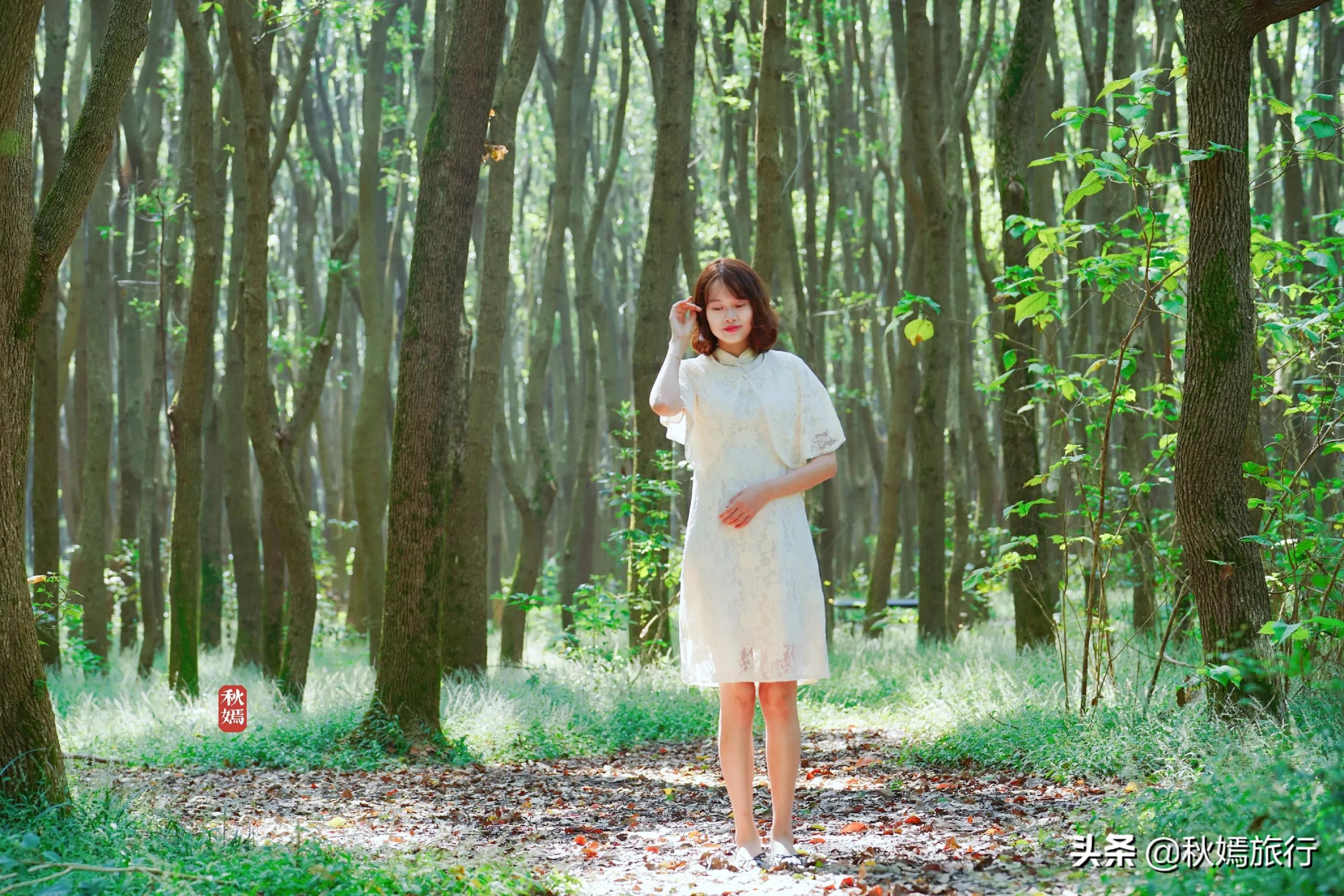 苏州吴中太湖新城苏州湾湿地公园,苏州湿地免费公园虎丘