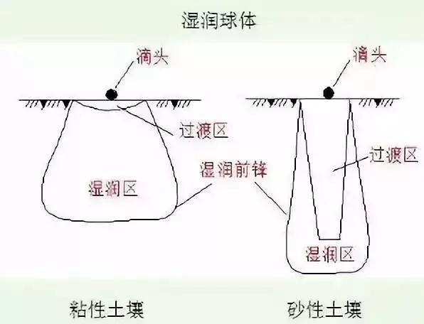 柑橘喷灌好还是滴灌好,喷灌和滴灌对柑橘的影响