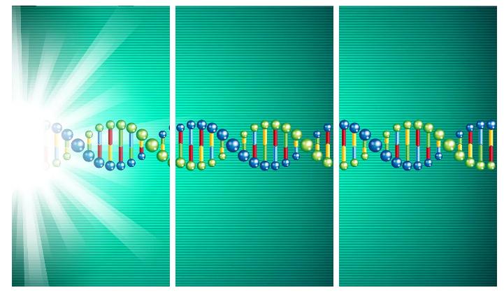 医学前沿：基因治疗概况