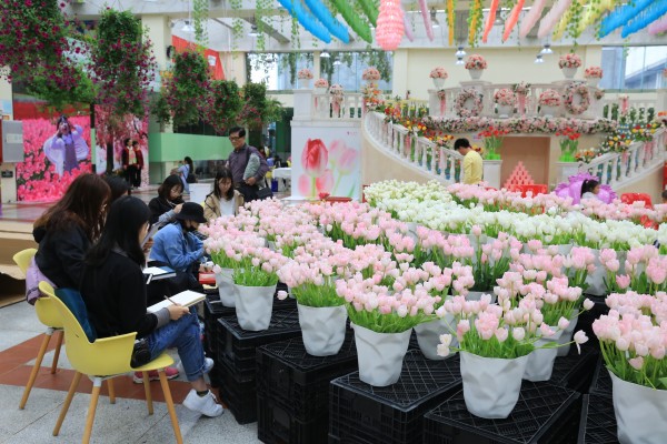 森林花海亲子游攻略,森林公园亲子游推荐