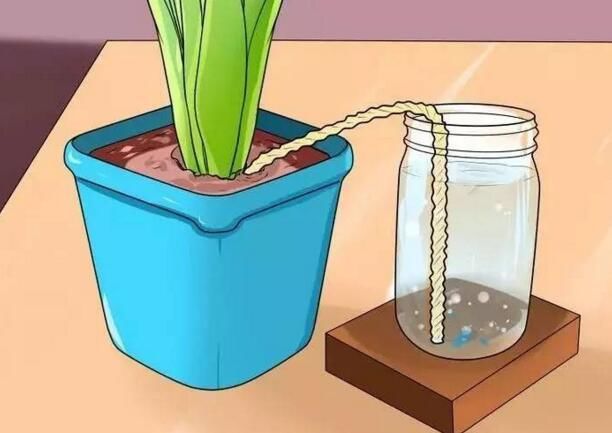 最简单的自动浇花神器不用买东西,浇花神器假期出差自动浇水